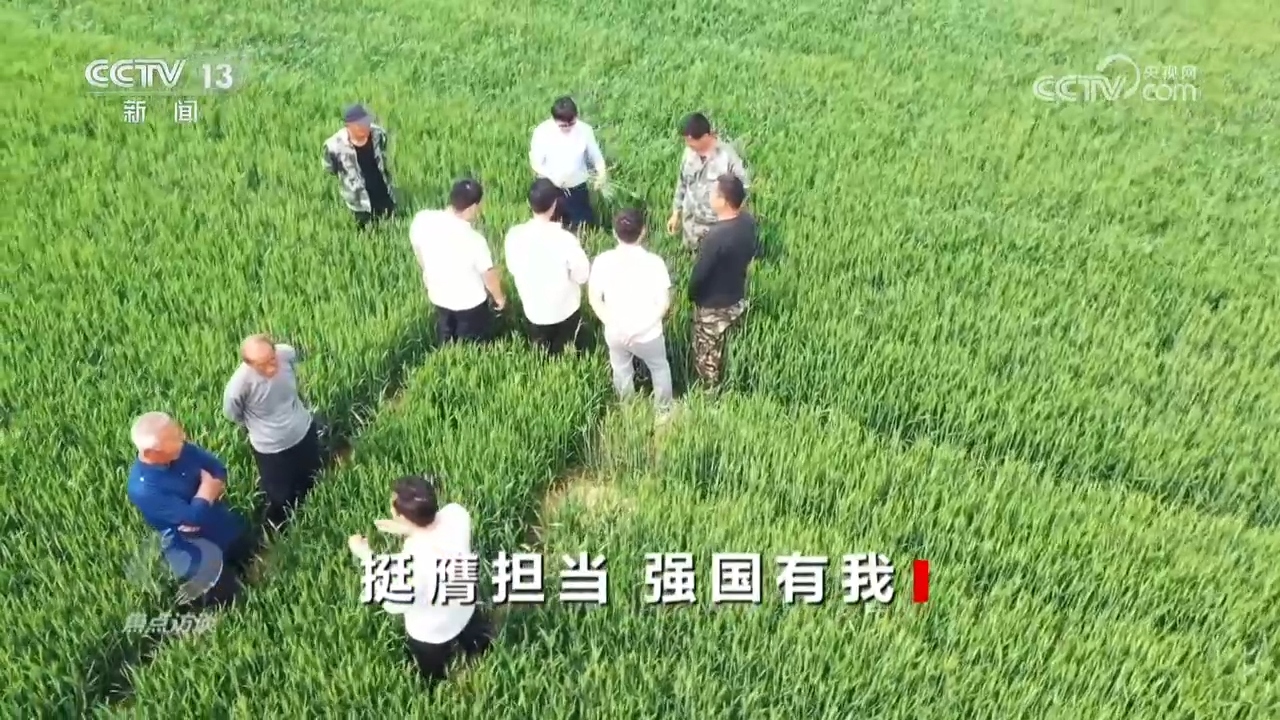 焦点访谈：挺膺担当 强国有我(图7)